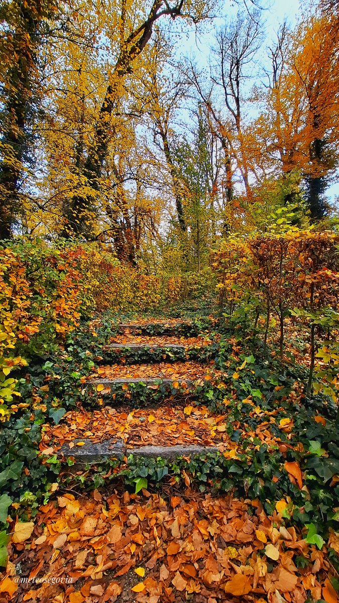 meteosegovia's tweet photo. Escarela al #otoño. #LaGranja (#Segovia). https://t.co/bkFTDIOMZI