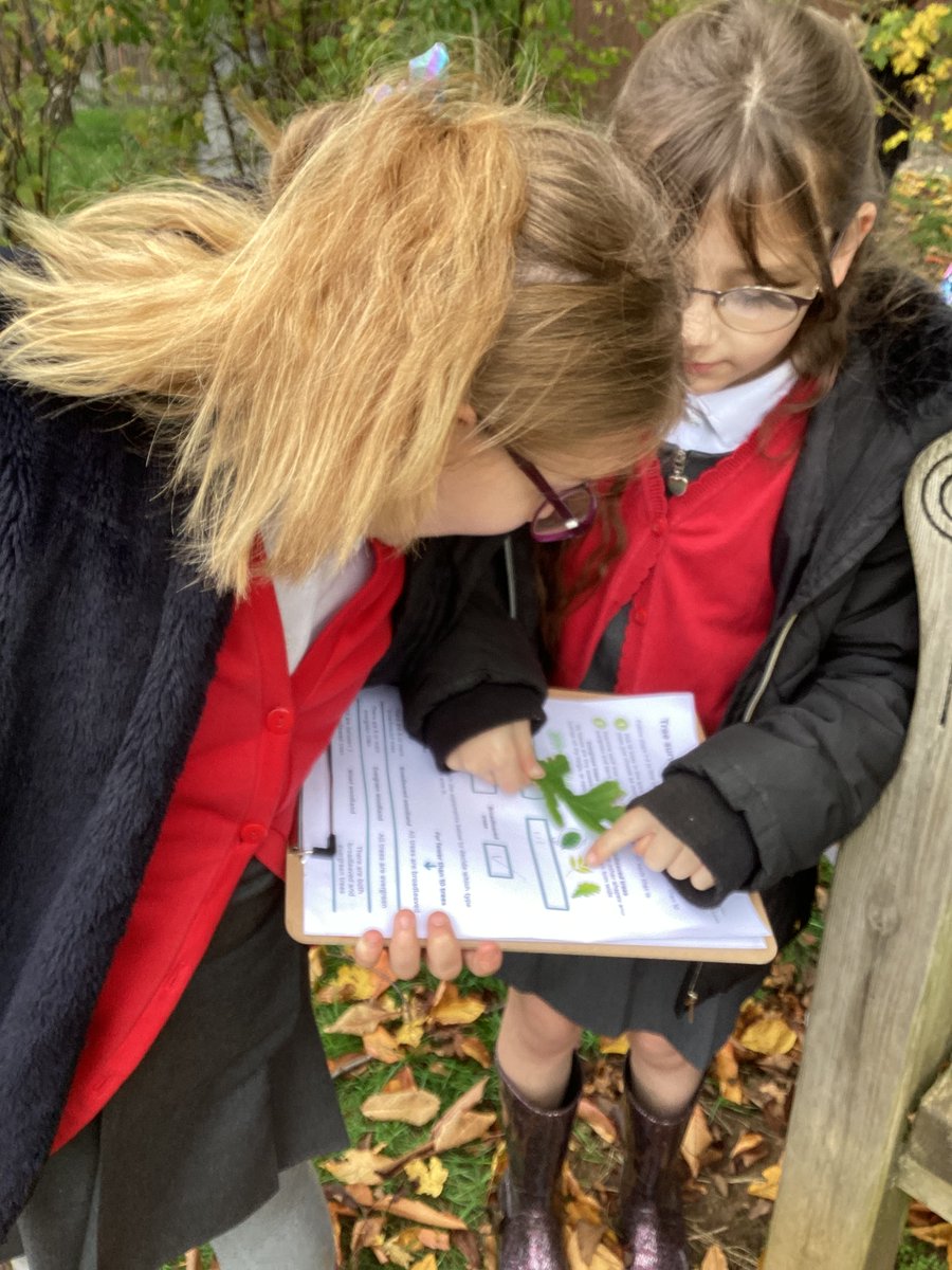 DLPTBraybrook's tweet photo. Children from across KS2, worked with Jenna and Louis from @RHS National Education Nature Park. They worked together to identify and map habitats on our school grounds. #AspireandAchieve #ConfidentIndividuals  #PrimaryScience https://t.co/xKXG2LIQio