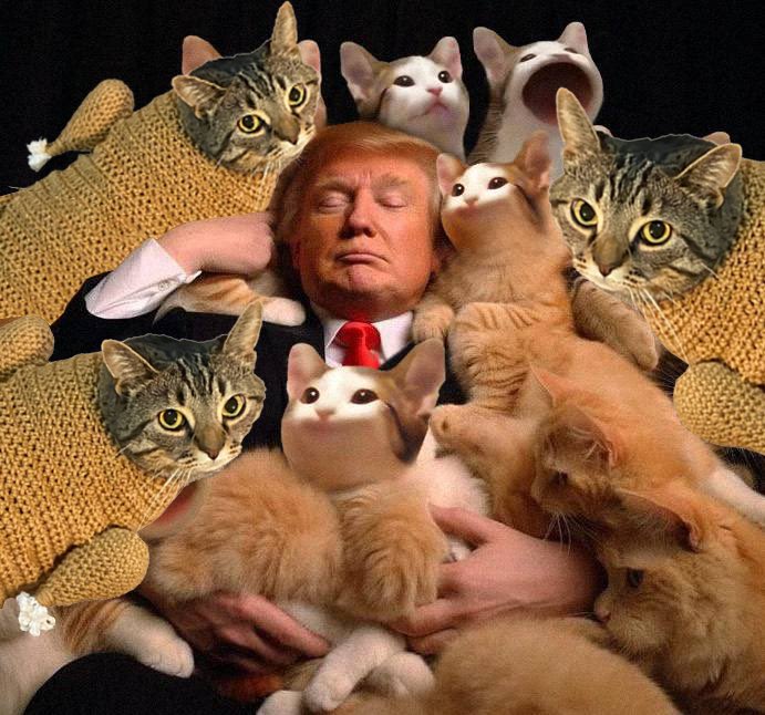 New era, Trump season, Pop season, Turkey season

$TC $POPCAT $TRUMP