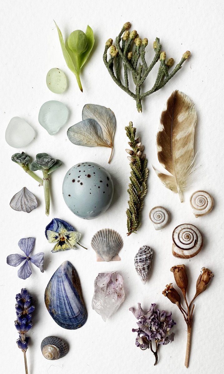 silverpebble's tweet photo. If today's left you low &amp; scared (it has me), maybe focus on small good things that lift your mood (for me it's things like these👇), the people you love most, making/creating &amp; getting outside if you can.

A multitude of small bursts of dopamine will help to keep us going... https://t.co/dllIify3CS
