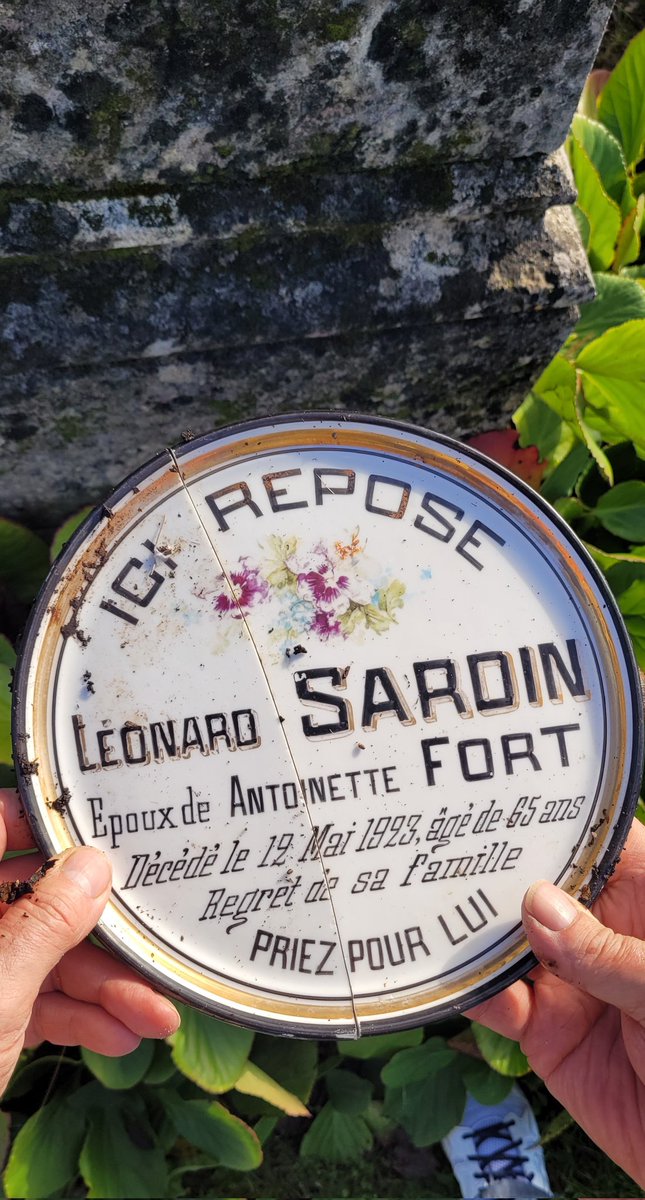 Roulade_avant's tweet photo. Mais grâce à ce plan ingénieux, on OSE fouiller les bergénias (qui abritent d'ailleurs des escargots IMMENSES nommés "cagouilles" en patois local #pointculture), et on découvre une belle assiette brisée en 2. #cenesontpasmespoucesàdroite https://t.co/kW2bt3Tv87