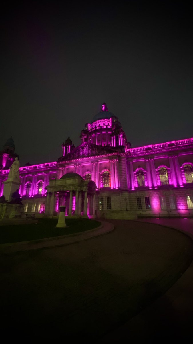 Johnny_Caldwell's tweet image. Belfast City Hall lit up in pink tonight to highlight the dangers facing women and girls: