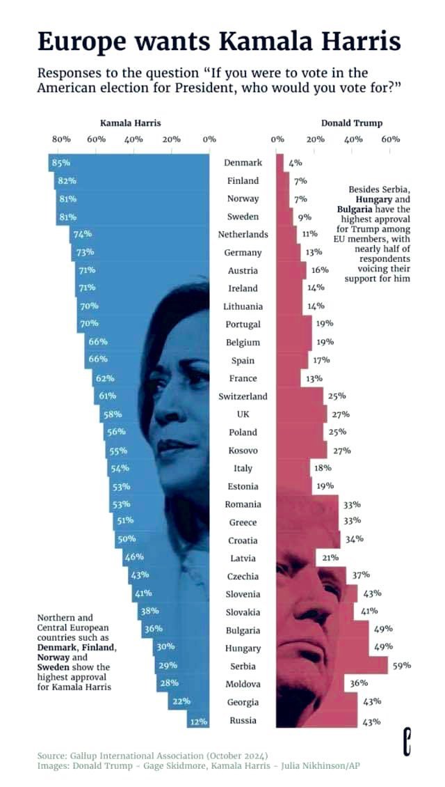 🇳🇱 𝓡𝓸𝔂 🇪🇺 (@roy_040) on Twitter photo 
