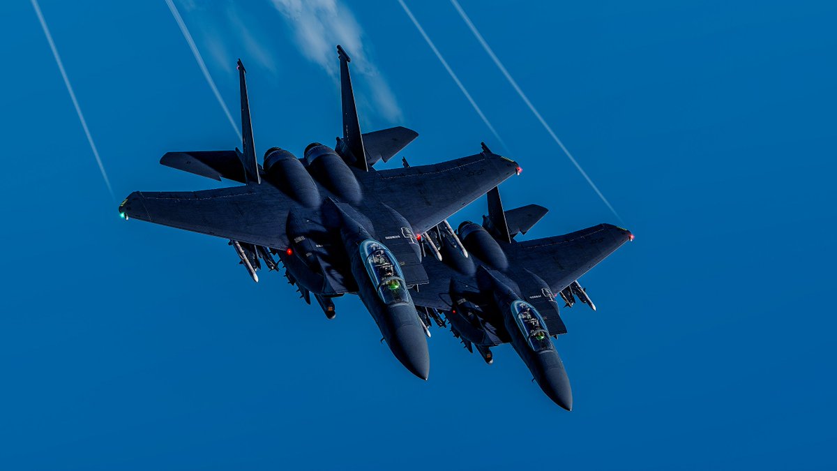 pbmonte86's tweet image. Don´t let the Strike Eagle Die 

@RAZBAM #dcs #PAYRAZBAM