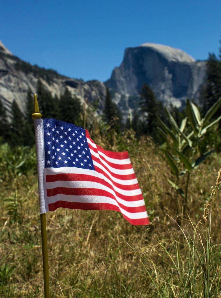 NatlParkService's tweet image. In honor of #VeteransDay on November 11, we invite all Americans to visit any National Park Service site for free. 

Learn more at: nps.gov/orgs/1207/cele…