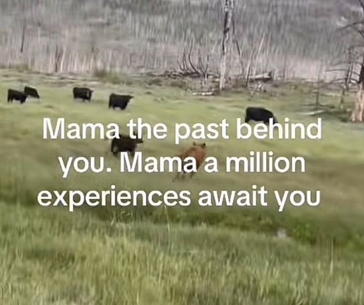 infjjoon's tweet image. hafta ortasina soyle girdik baslamak icin hafta yil ay baslarina ihtiyacimiz #yok