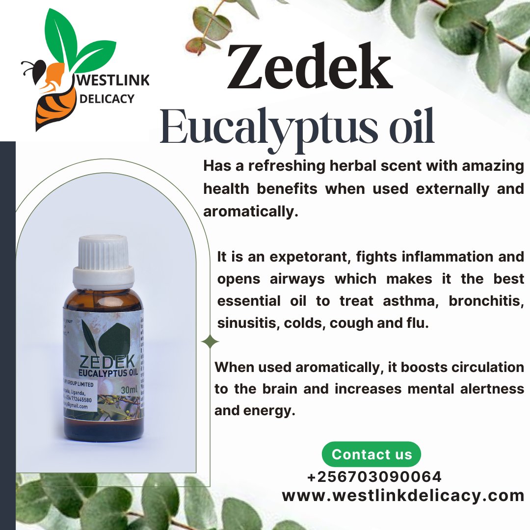 WestlinkD's tweet photo. Are you ready to elevate your health and well-being naturally?
.
"Essential oil s are like little drops of sunshine distilled from nature's most healing plants." Daniel Sade.
🍃Rosemary 🍃Eucalyptus 🍃Lemongrass 🍃Tea tree 🍃Lavender 🍃Spearmint
https://t.co/PZhD96n0u6 https://t.co/jdgNjVEI36