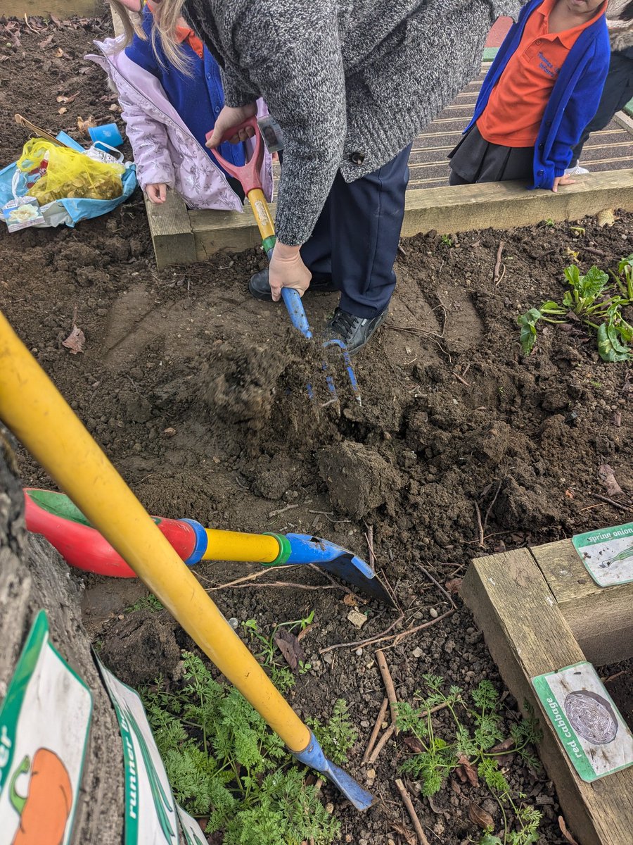 AdamDobsonTVI's tweet photo. We have been planting some spring bulbs in the Nursery #garden this week. Tulips, daffodils and crocus. The children enjoyed helping and getting their hands dirty. We just need to wait a few months before they flower! @SamTVI1 @TVInfants @Demi_TVI https://t.co/yHEJiBEZk9