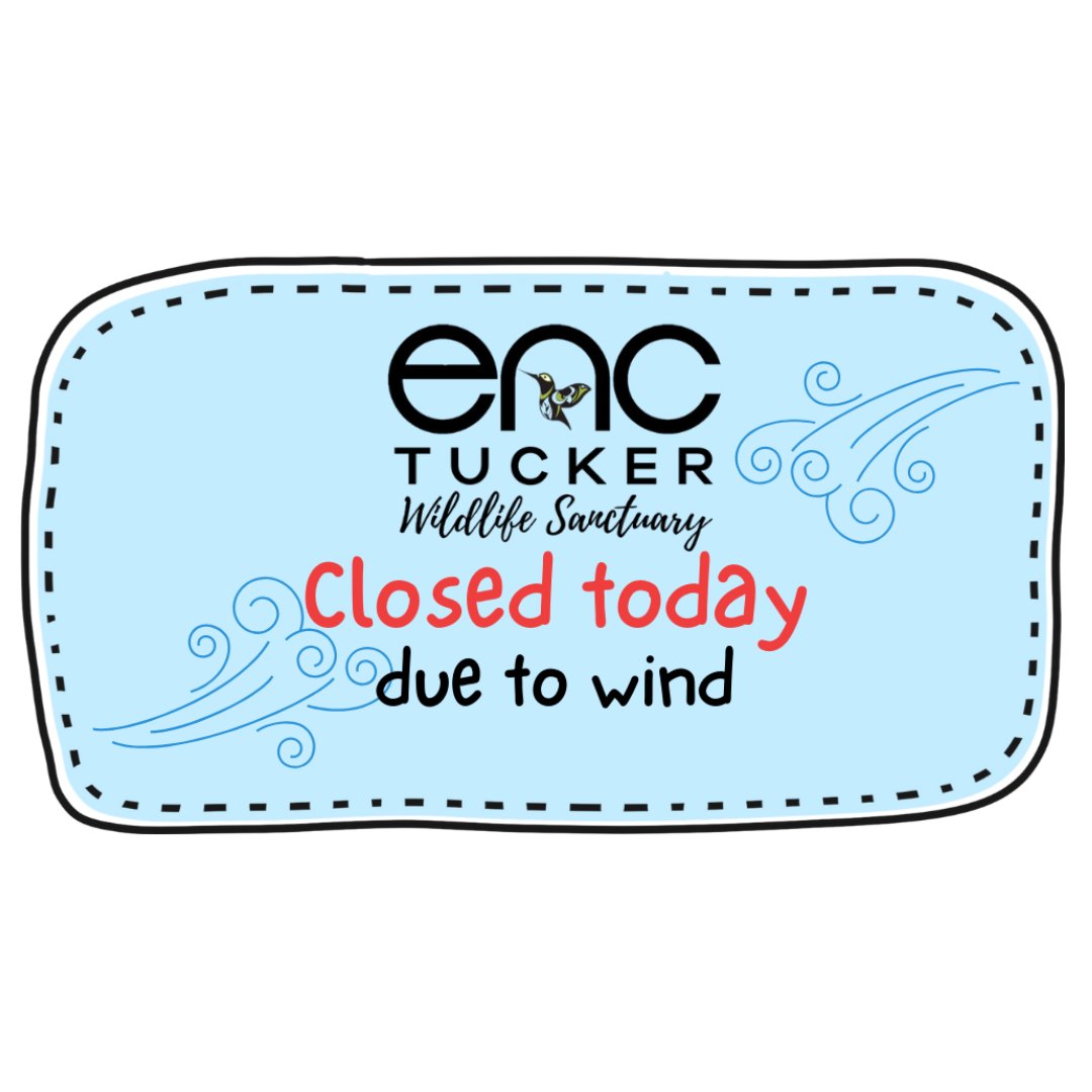 Due to the high wind speeds and Red Flag fire weather warning, ENC Tucker Wildlife Sanctuary will be closed today.