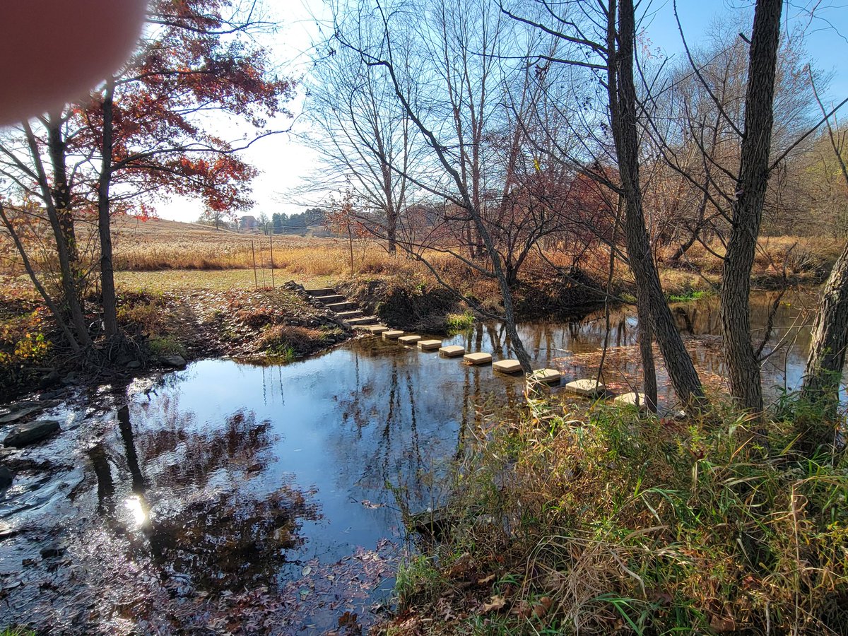 Centrism Fan Acct 🔹 tweet media