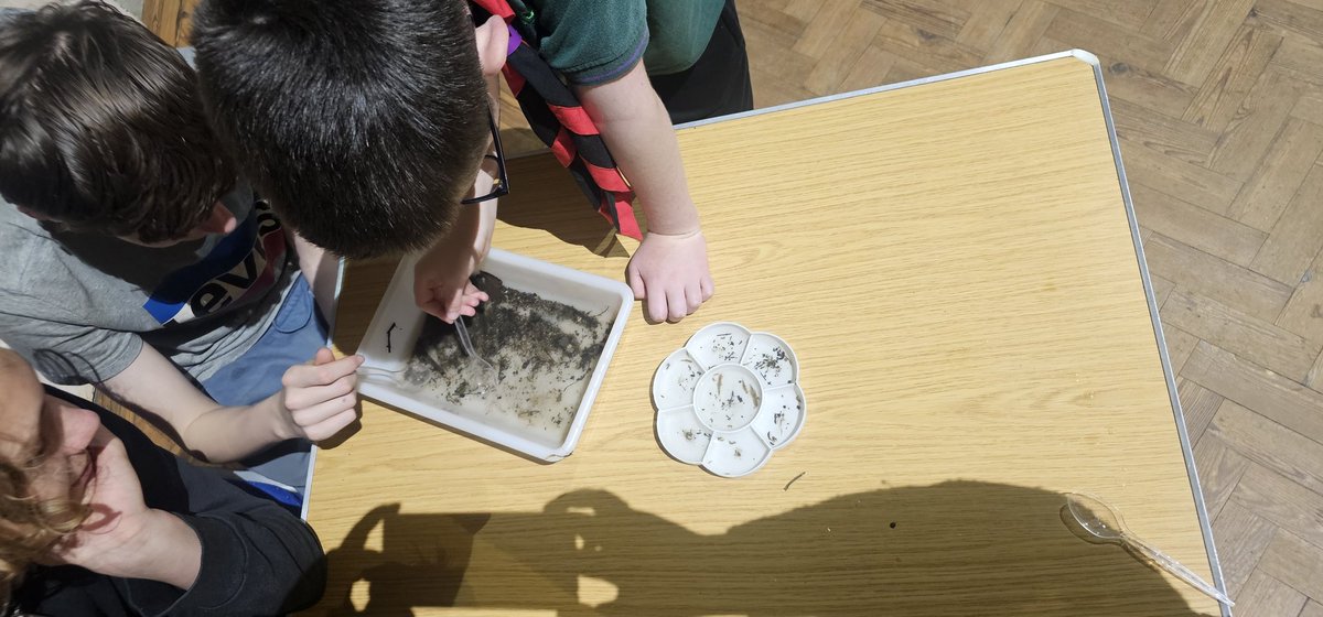 8NWScouts's tweet photo. Riverfly Sampling at cubs tonight finding worms, shrimp and more. @WNScouts  @WatfordCouncil @GroundworkEast #scoutingskills https://t.co/oA8CoKlyur