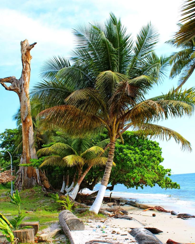 AfricaFactsZone's tweet photo. Equatorial Guinea 🇬🇶 is an underrated travel destination. https://t.co/BwAIBGFMXK