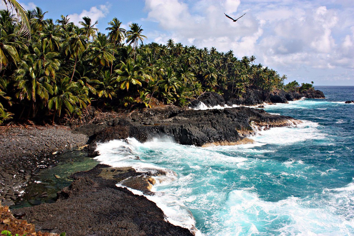 AfricaFactsZone's tweet photo. Equatorial Guinea 🇬🇶 is an underrated travel destination. https://t.co/BwAIBGFMXK