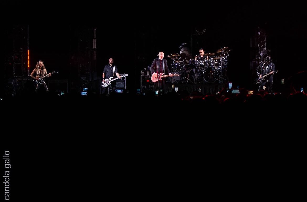 Jack Bates tweet media