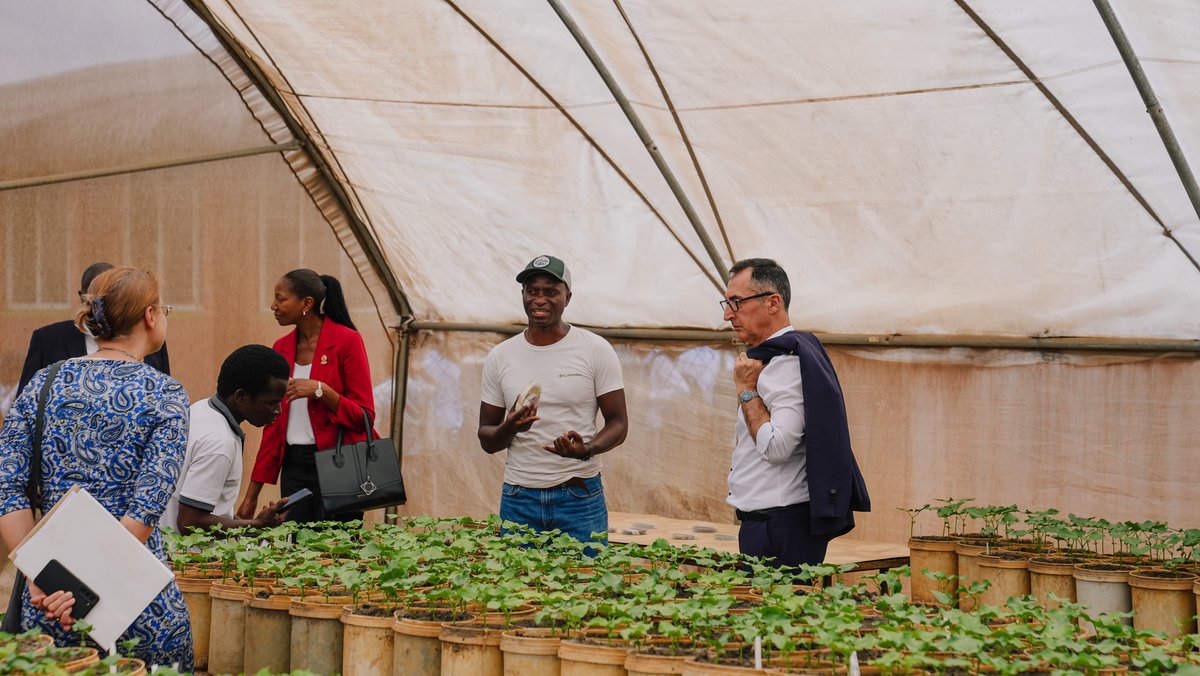 BMEL (@bmel) on Twitter photo Forschung an der Fakultät für Agrarwissenschaften in Sambia: Alternative Energiequellen, Luzerne als Futterpflanze, klimaresiliente Sorten: <a href="/cem_oezdemir/">Cem Özdemir</a> mit Forscherinnen & Forschern im Austausch, die alles daransetzen, ihr Wissen für die Sicherung von Ernten einzubringen. Forschung an der Fakultät für Agrarwissenschaften in Sambia: Alternative Energiequellen, Luzerne als Futterpflanze, klimaresiliente Sorten: <a href="/cem_oezdemir/">Cem Özdemir</a> mit Forscherinnen & Forschern im Austausch, die alles daransetzen, ihr Wissen für die Sicherung von Ernten einzubringen.