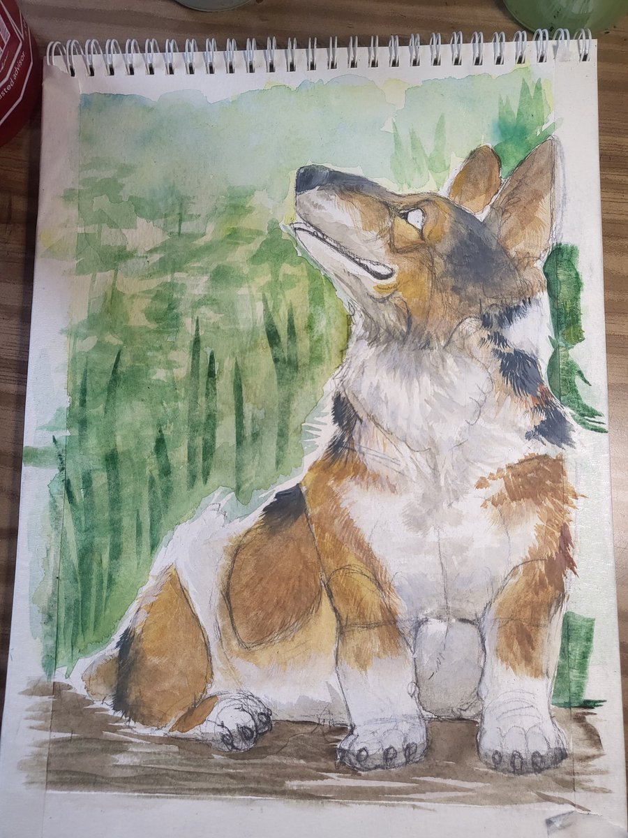 Camphorous (@camphorous) on Twitter photo 