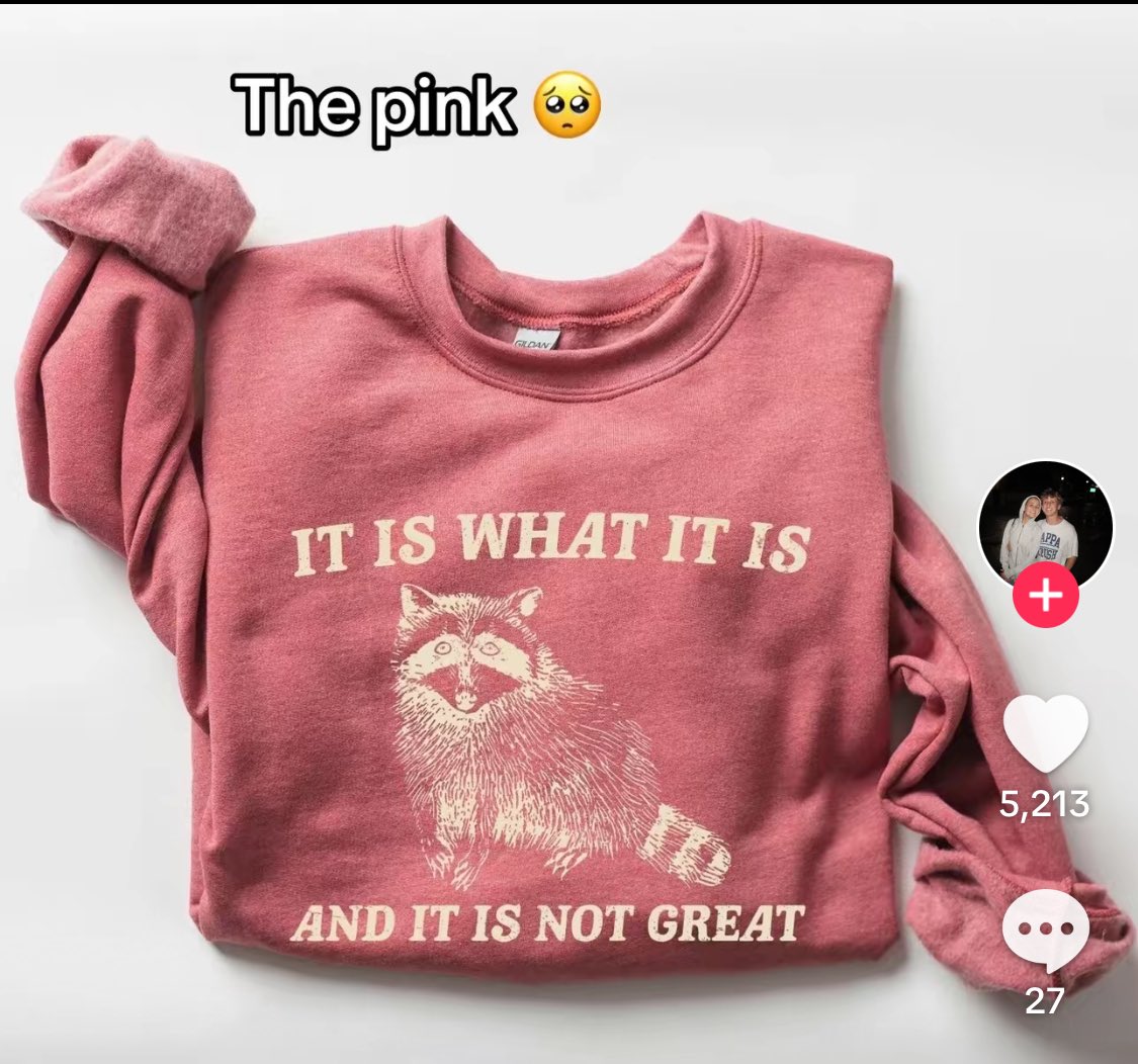 Not the TikTok shop coming in hard at me with this ad.