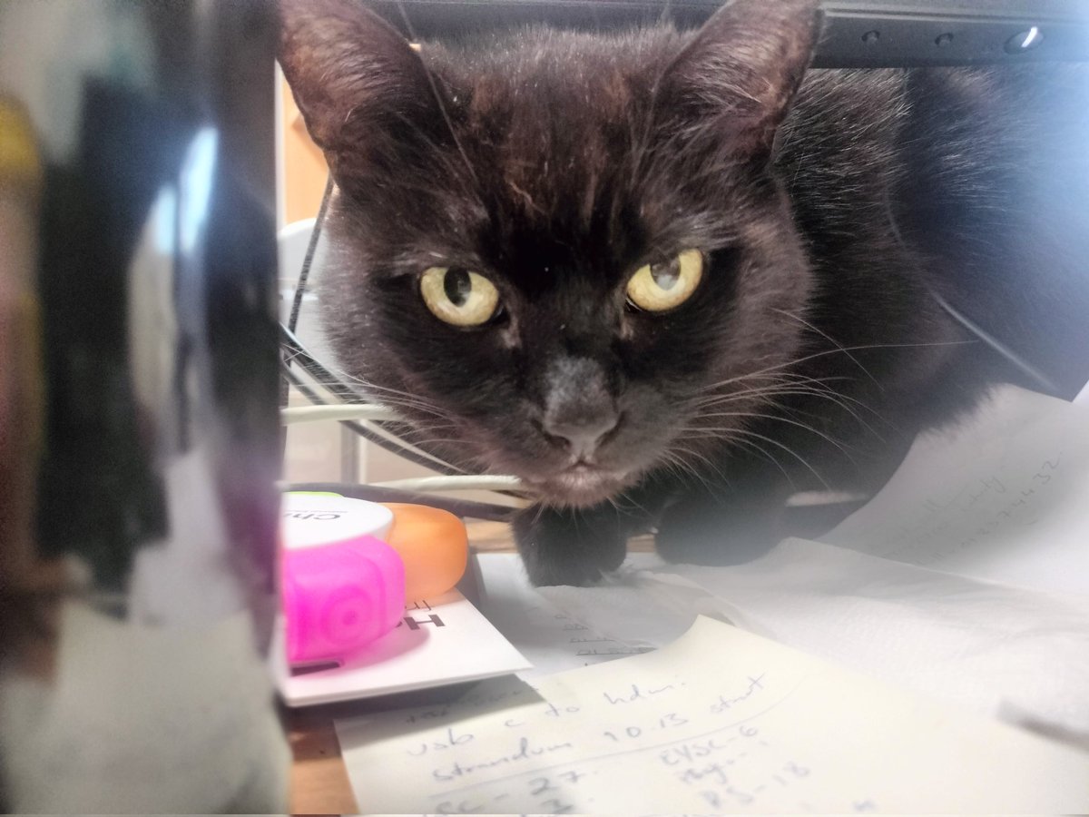 Tray__c's tweet image. Some Boo content for the timeline