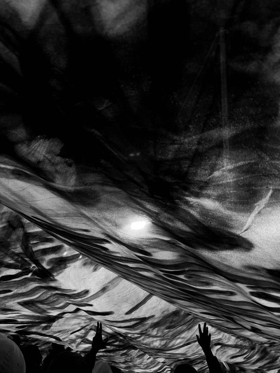 TP_1908's tweet image. Feyenoord - FC Salzburg