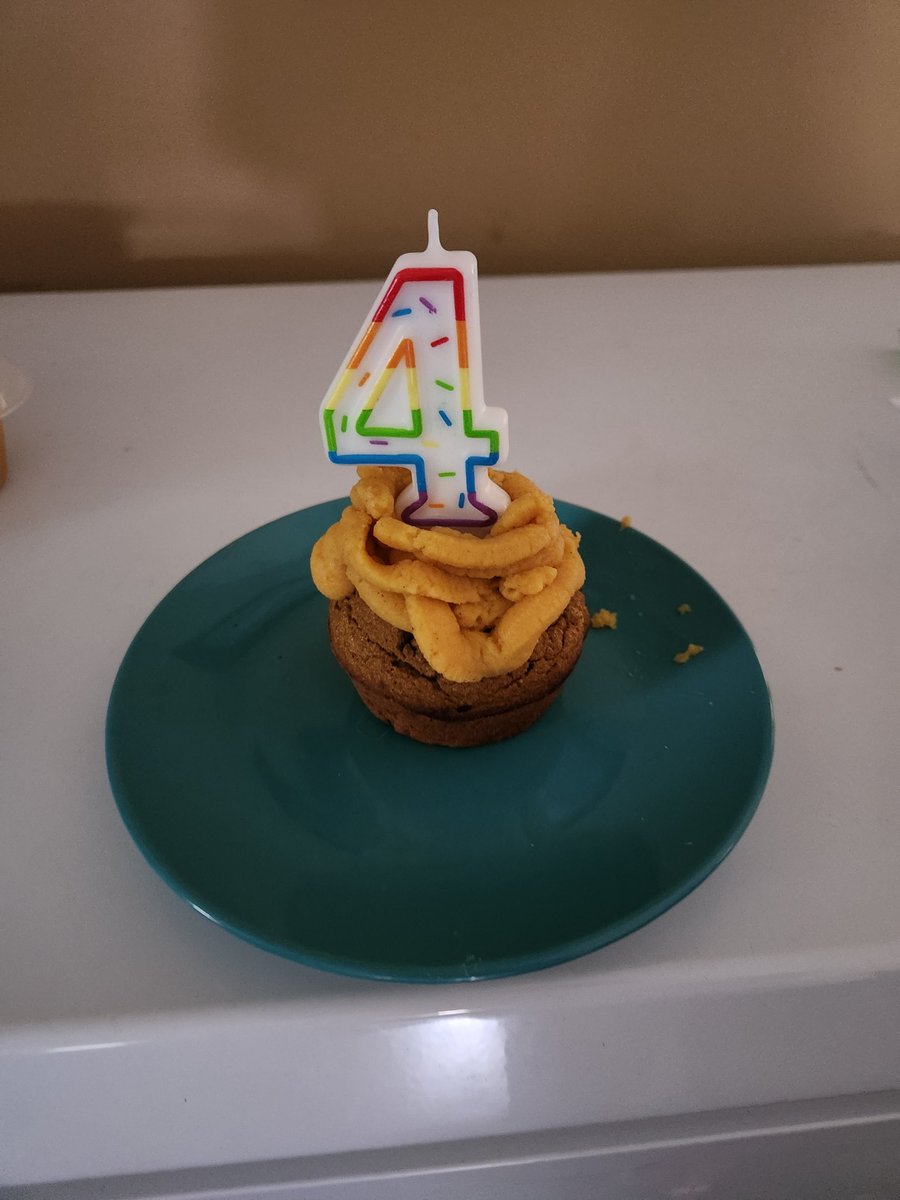 GrahamCrker's tweet photo. Happy 4th birthday to me! 😄🎂🎉🥳

#GrahamCracker #HappyBirthday https://t.co/JqDzHwypJV
