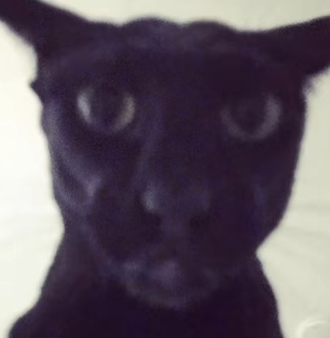 Hey guys sorry for the lack of updates, been working hard trying to make release for this year! Have some exciting stuff to show soon much love gamerz <3