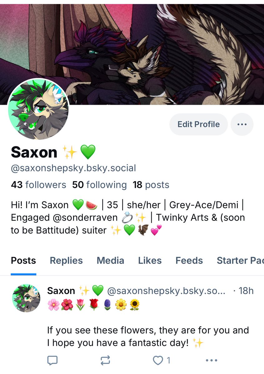 Saxon ✨💚 tweet media