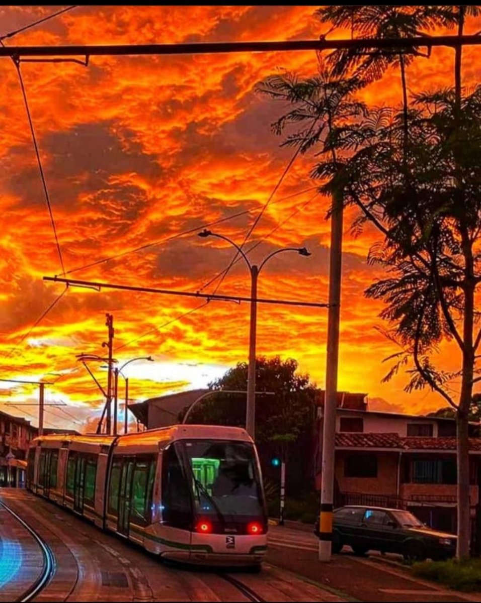wilfertx1's tweet photo. Medellín ciudad de la eterna primavera 🌸🌼🌹 https://t.co/iokvHPPZ48