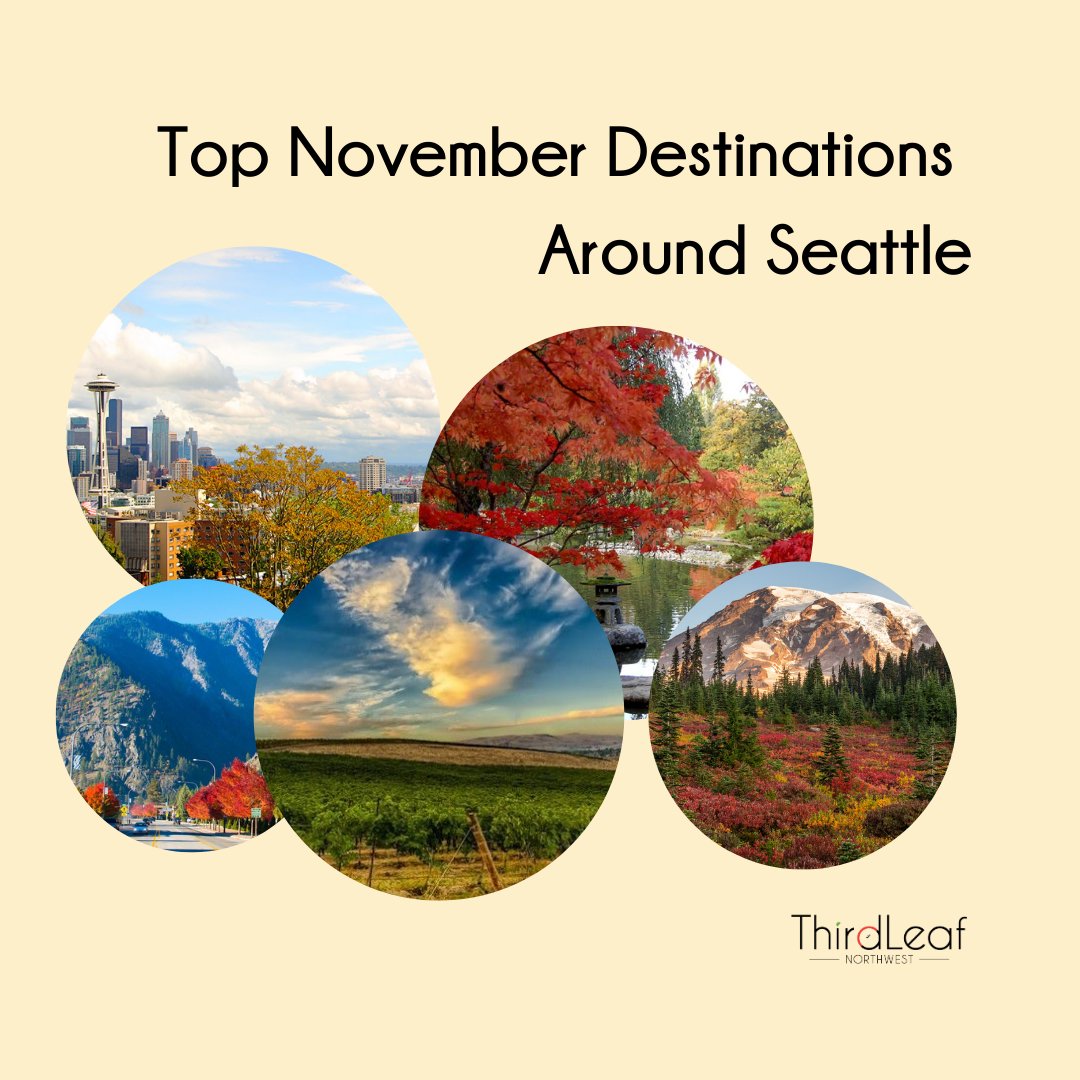 ThirdLeafNW's tweet photo. November is full of cozy vibes and adventures in Seattle! 🍁 From scenic hikes and festive markets to wine tastings, we've rounded up the best spots to explore this season. Check out our latest blog for your perfect fall itinerary! 

#SeattleFall #NovemberAdventures #ThirdLeafNW https://t.co/ImnQgcYdIC