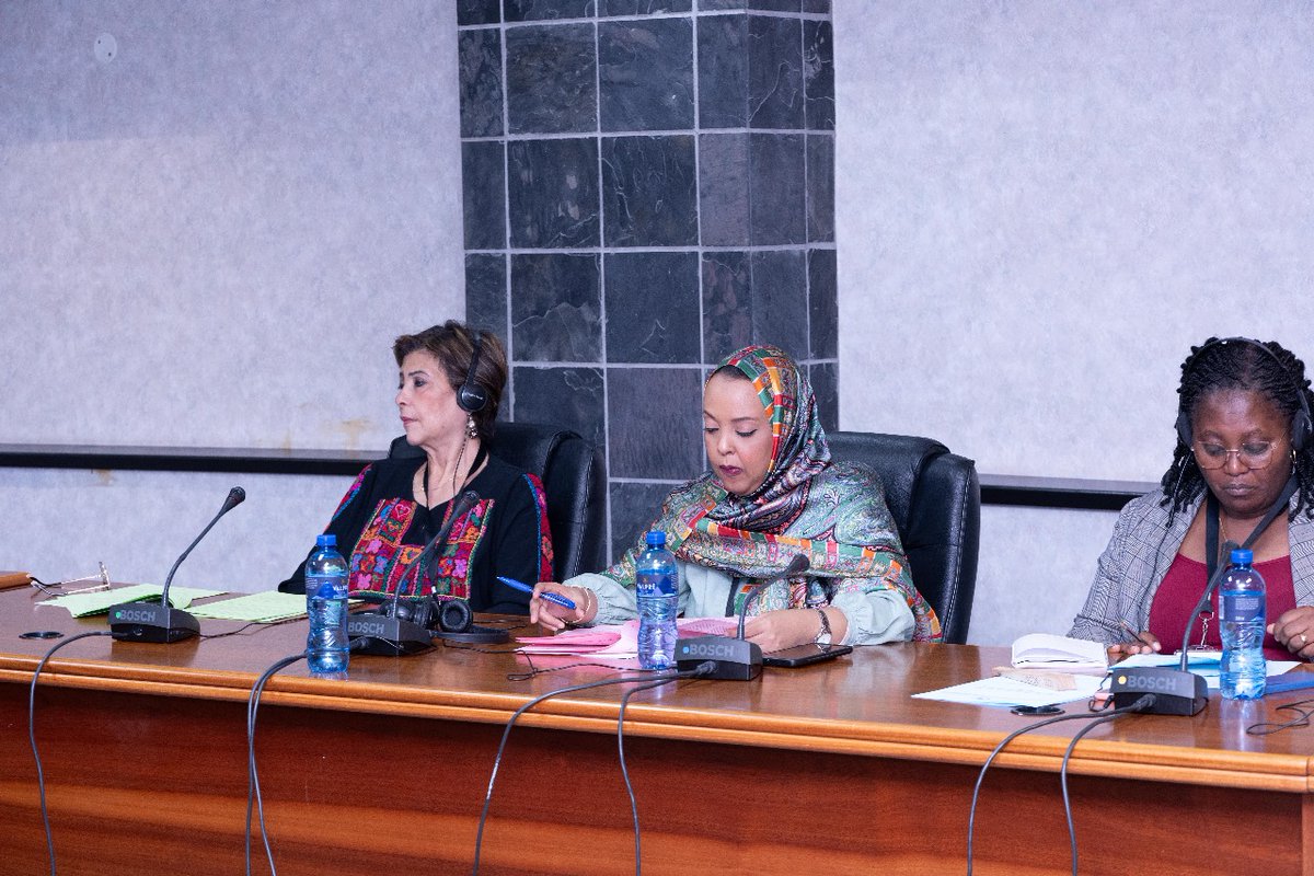 Pan-African Parliament tweet media