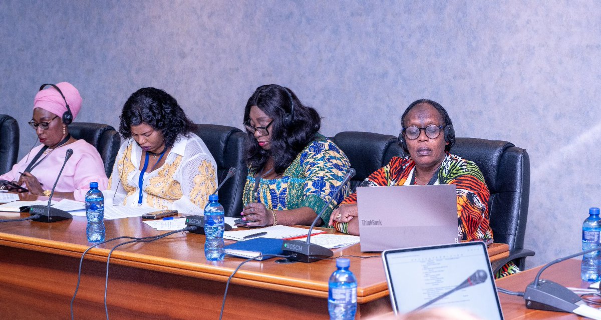 Pan-African Parliament tweet media