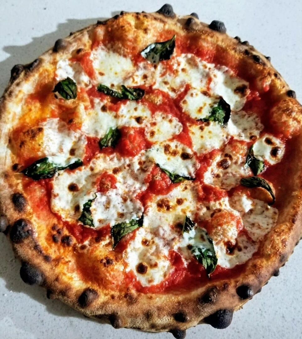 The Saucee Sicilian tweet media