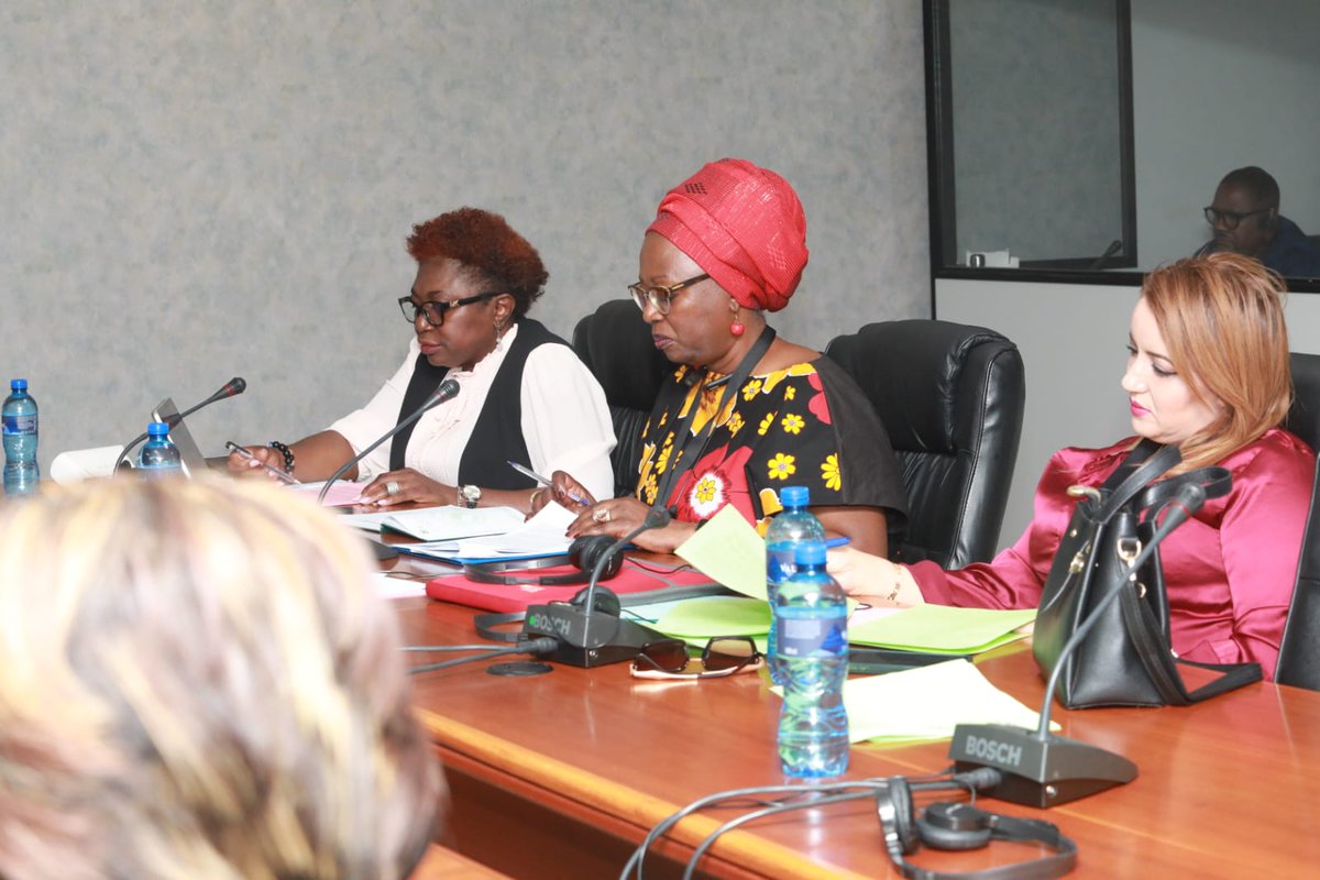 Pan-African Parliament tweet media