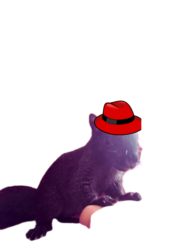 MidnSquirrel's tweet photo. This afternoon, we’re excited to announce: MIDNIGHT is becoming a meme coin on Solana! 
No influencers. No big marketing. Just us – a community passionate about making a difference. Every  coin will go toward helping animals in need, just like my cousin Peanut. LET OTHERS KNOW https://t.co/E6oYgDDMG5
