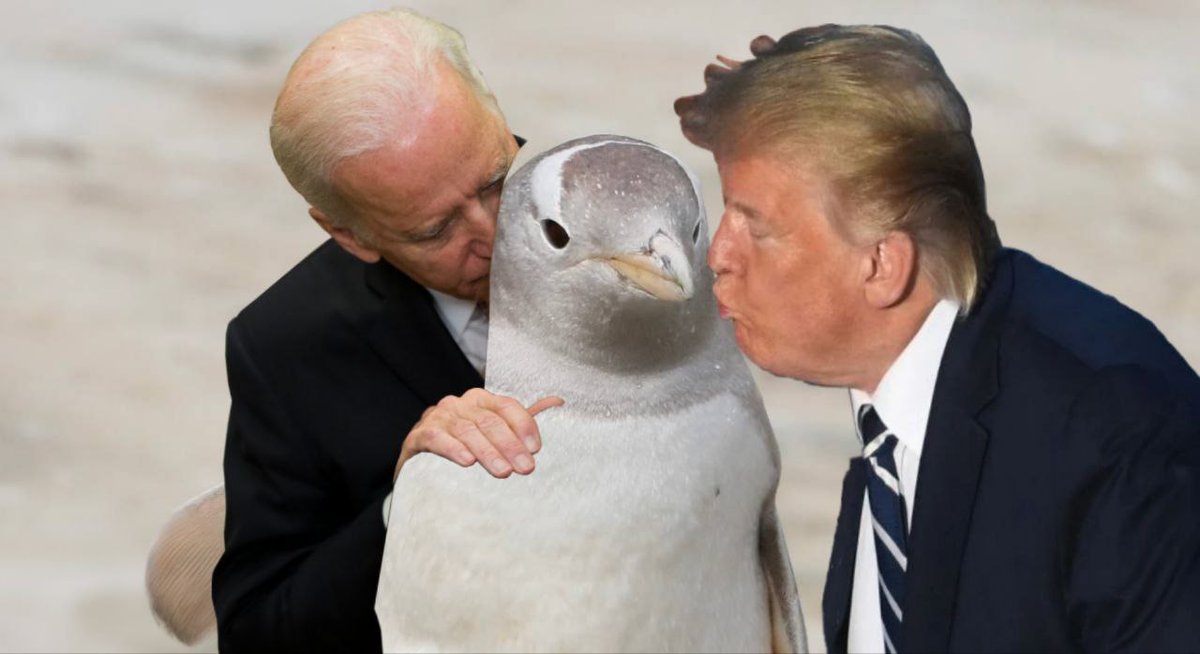 Snowflake__OG's tweet photo. Love is... https://t.co/pbmV1yl8pu