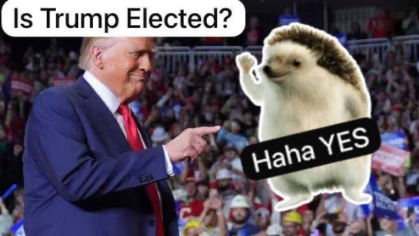 theonlytdxmpsey's tweet photo. @Chefin100x Wake up.

$shrub 🦔🔥 https://t.co/ZSBHELO6nF