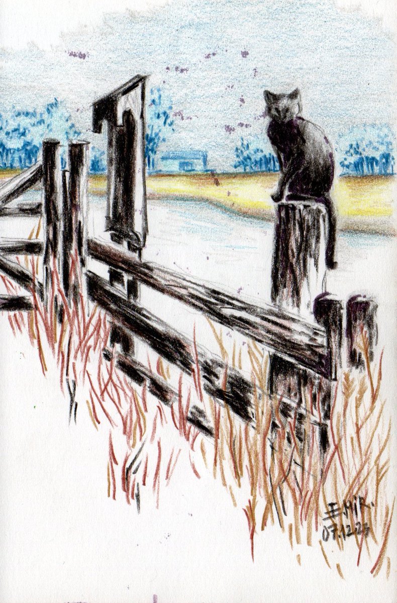 mironele's tweet photo. It's still autumn
https://t.co/E6PdeHD3mK
#drawing #colorpencils #sketching #sketchbook #autumn #november #cold #catblack #art #illustration #inspiration #creativity https://t.co/1ZDdICqlsW