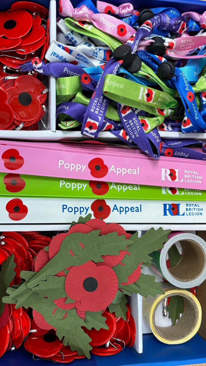 Good morning, 
As part of the annual Poppy Appeal, year 6 will be selling items during the school day on Thursday and Friday. If you would like to purchase an item, a suggested donation of between 20p and £1 would be very much appreciated.