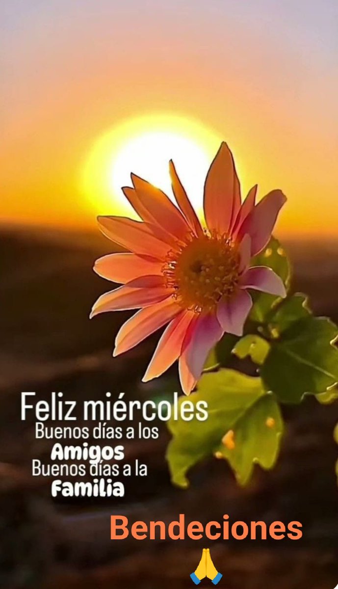 Vic D'Alba 🇲🇽🇲🇽 tweet media