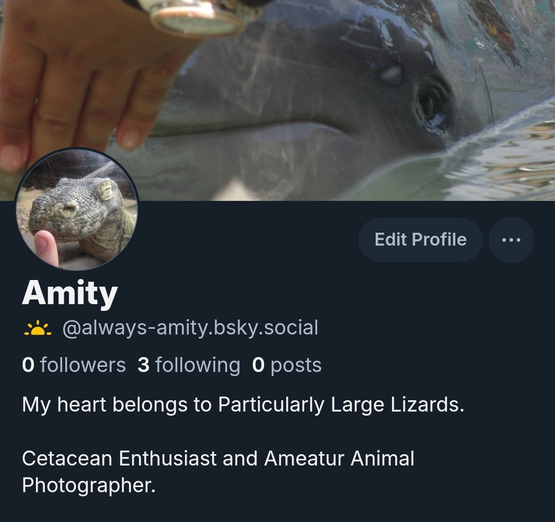 delphindae's tweet image. 🦋