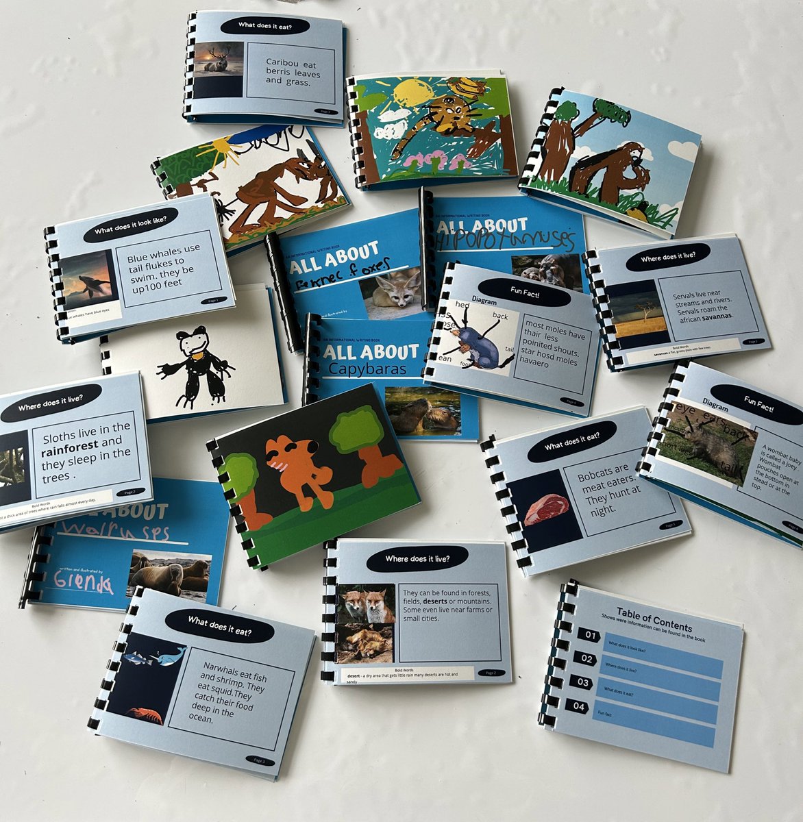 Kaitlin Todaro (Denhart) tweet media