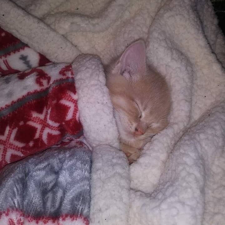 felak-nas-ayetelkürsi suresi sonrası bizim uyku kalitesi