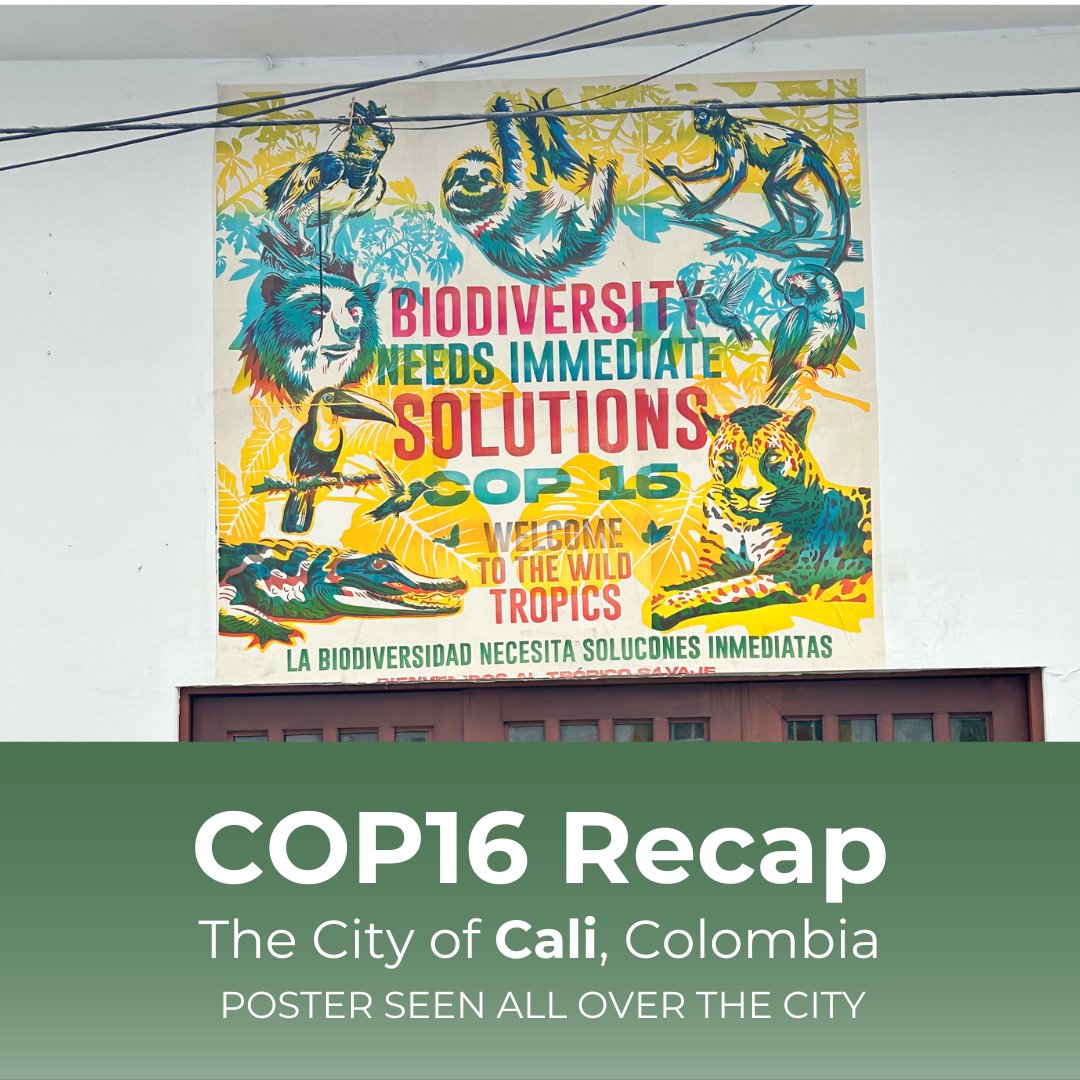 Conservation Biology Institute tweet media