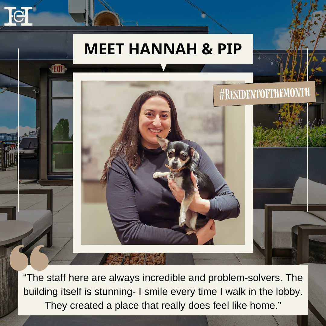 capitolhilltop's tweet photo. "Everybody at Hunters Capital treats the Hunters Capital Community like more than a job. Because they are local and care about Seattle, they do an incredible job of respecting the neighborhoods and communities they are a part of."

#seattleapartments #apartmentlife #community https://t.co/PpVs1poMho