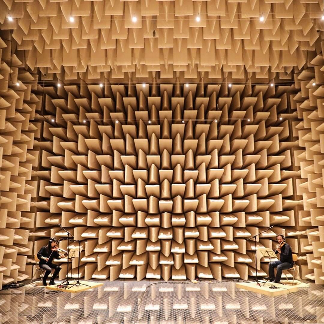 Avid's tweet photo. 🎵 Dry recording
📷 3B Produktion
⠀
#anechoic #violin #mixing #recording #audioengineer #studiolife #daw #audio #promixing https://t.co/yqrpP4OvPK