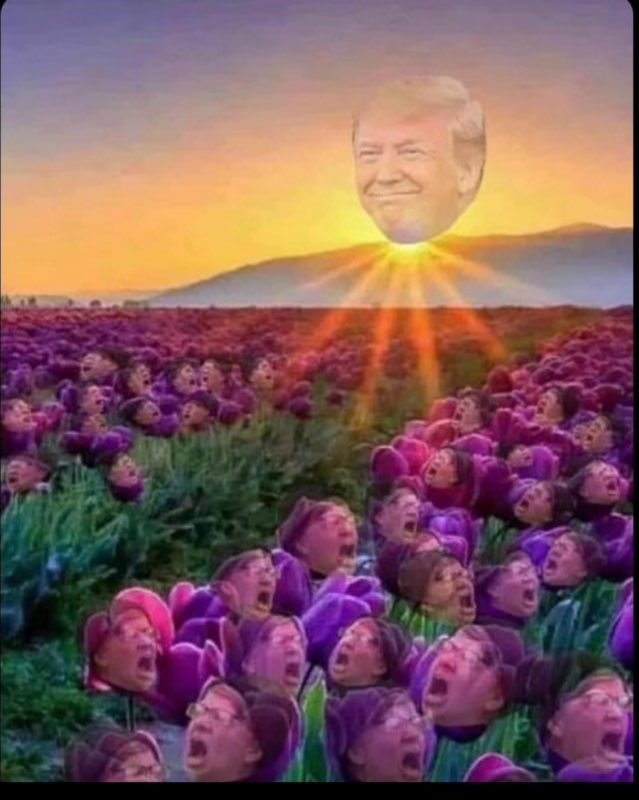 .<a href="/KamalaHarris/">Kamala Harris</a> just called <a href="/realDonaldTrump/">Donald J. Trump</a> to CONCEDE, congratulate him in his HISTORIC BLOWOUT VICTORY, and said she is committed to a “peaceful transfer of power”.

<a href="/JoeBiden/">Joe Biden</a> also called to congratulate Trump.

The deed is done.

There will be a NEW DAWN in America come