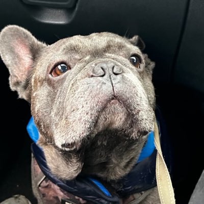 pete29091's tweet photo. #NewProfilePic https://t.co/4SW6vjE381