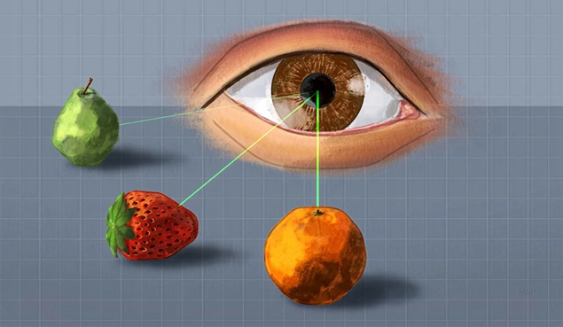 NatEyeInstitute's tweet photo. Too much clutter in your field of vision can make it harder for your brain to make sense of what you're seeing. Learn more about this #NEIfunded study out of @YaleNeuro: https://t.co/bsMBr5YyKK #YaleNeuro #Yale #NationalEyeInstitute #EyeHealth #EyeResearch https://t.co/pd5WP1rjjj
