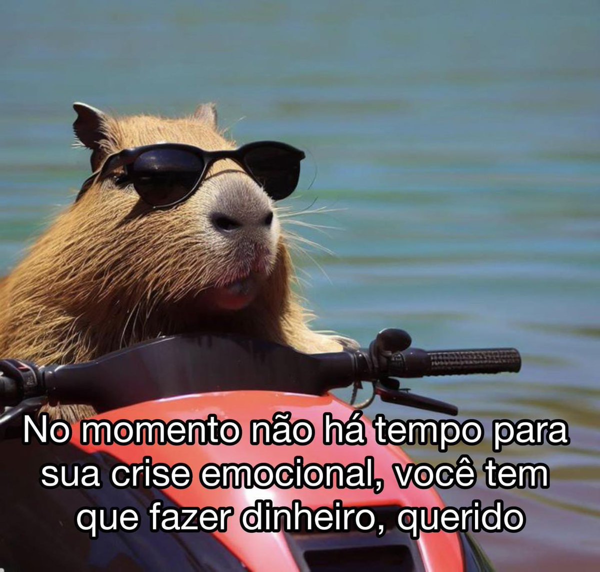 Pagina lixo (@paginalixo1) on Twitter photo 