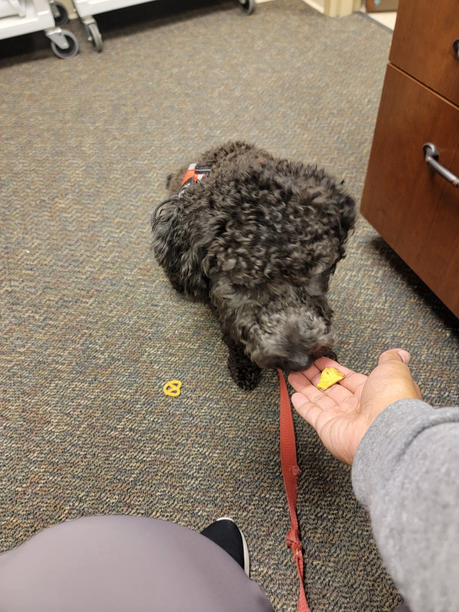 The athletic trainer needed this visitor today.