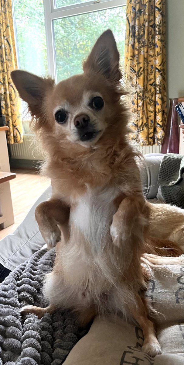 Annette parish tweet media